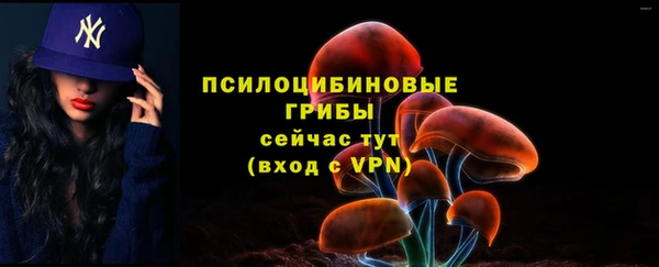 спиды Арсеньев