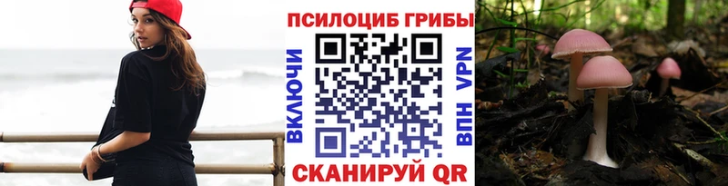 hydra   Елабуга  Галлюциногенные грибы Psilocybe 
